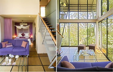 EcOasis - Accommodation Mermaid Beach 1