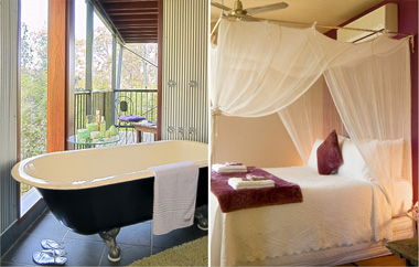 EcOasis - Accommodation Mermaid Beach 2