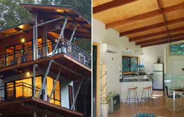 EcOasis - Accommodation Mermaid Beach 3