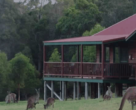 Walpole Wilderness Resort - Accommodation Mermaid Beach