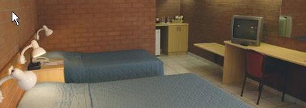 Pine Tree Motel - Accommodation Mermaid Beach 0