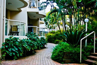 Miami Beachside Apartments - Accommodation Mermaid Beach 9