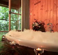 Tree Houses Of Montville - Accommodation Mermaid Beach