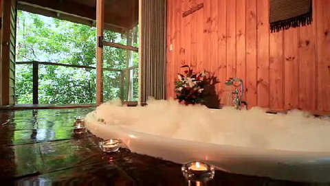 Tree Houses Of Montville - Accommodation Mermaid Beach 0