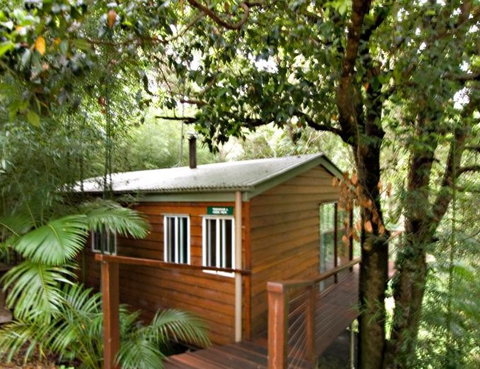 Tree Houses Of Montville - Accommodation Mermaid Beach 2
