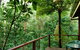 Tree Houses Of Montville - thumb 3