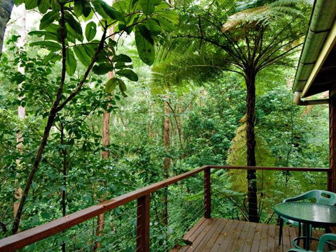 Tree Houses Of Montville - Accommodation Mermaid Beach 3