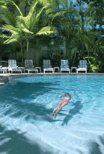The Lookout Noosa Resort - Accommodation Mermaid Beach 7