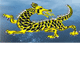 Dragon Phoenix Motel amp Restuarant - Accommodation Mermaid Beach