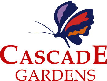 Q Resorts Cascade Gardens  - Accommodation Mermaid Beach 1