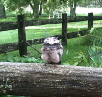 Milton Park - Accommodation Mermaid Beach