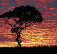 Kimba Caravan Park amp Motel - Accommodation Mermaid Beach