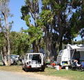 Elliston Caravan Park - Accommodation Mermaid Beach