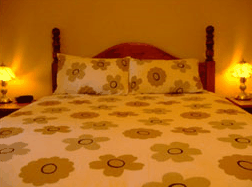 Travelway Motel - Accommodation Mermaid Beach