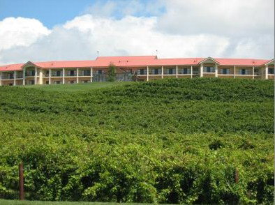 Turners Vineyard - Accommodation Mermaid Beach 4