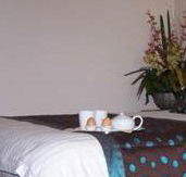 Best Western Ambassador Motor Inn - Accommodation Mermaid Beach