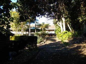 Montville Mountain Inn - Accommodation Mermaid Beach 2
