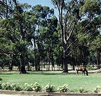 Saratoga Lodge - Accommodation Mermaid Beach