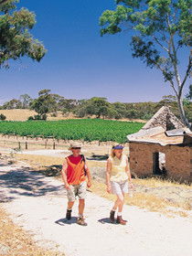 Anama SA Accommodation Mermaid Beach