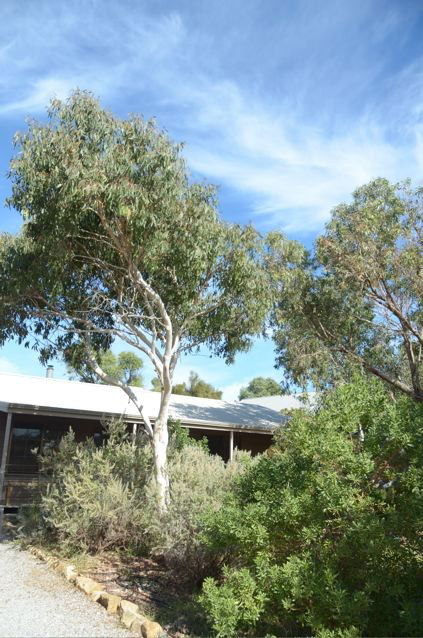 Dune Hideaway - Accommodation Mermaid Beach 2