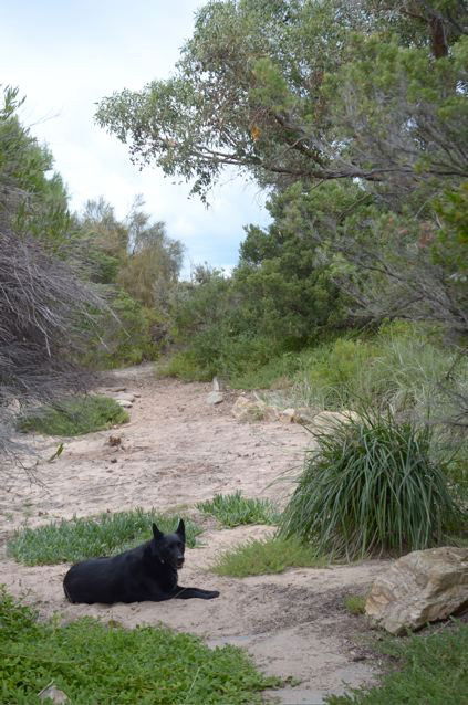 Dune Hideaway - Accommodation Mermaid Beach 3