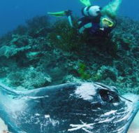 Heron Island Resort - Accommodation Mermaid Beach