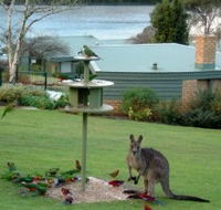 Gipsy Point Lakeside - Accommodation Mermaid Beach
