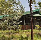 Arnhemland Barramundi Nature Lodge - Accommodation Mermaid Beach