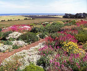 Tower Hill VIC Accommodation Mermaid Beach