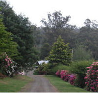 Mountain Rivers Lodge - Accommodation Mermaid Beach