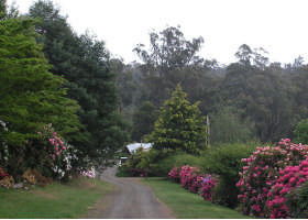 Mountain Rivers Lodge - Accommodation Mermaid Beach 0