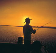 Point Stuart Wilderness Lodge - Accommodation Mermaid Beach