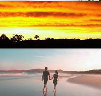 Lotus Retreat - Accommodation Mermaid Beach