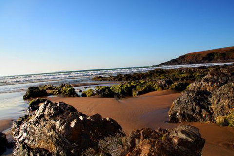 ArtHOUSE Beachfront Accommodation - Accommodation Mermaid Beach 8