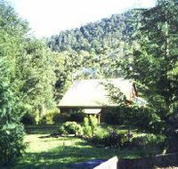 Horse Haven Farmstay - Accommodation Mermaid Beach