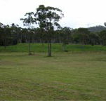 Mt White Lodge - Accommodation Mermaid Beach
