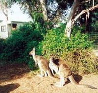 Avoca Dell Caravan Park - Accommodation Mermaid Beach