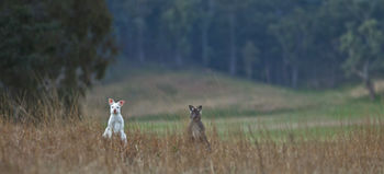 Emirates One&Only Wolgan Valley Australia - Accommodation Mermaid Beach 31