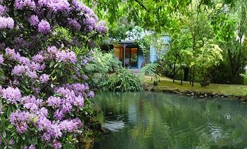 Cottages At Monreale - Accommodation Mermaid Beach 7