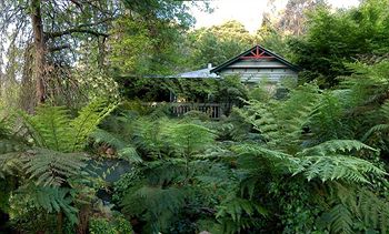 Cottages At Monreale - Accommodation Mermaid Beach 13