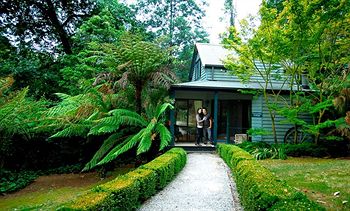 Cottages At Monreale - Accommodation Mermaid Beach 16