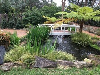 Checkers Resort & Conference Centre - Accommodation Mermaid Beach 20