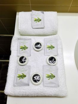 Glen Inn - Accommodation Mermaid Beach 12