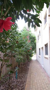 Waldorf Hornsby Residential Apartments - Accommodation Mermaid Beach 8