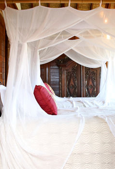 Makepeace Island - All Inclusive - Accommodation Mermaid Beach 21