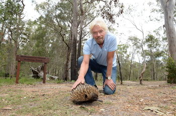 Makepeace Island - All Inclusive - Accommodation Mermaid Beach 33