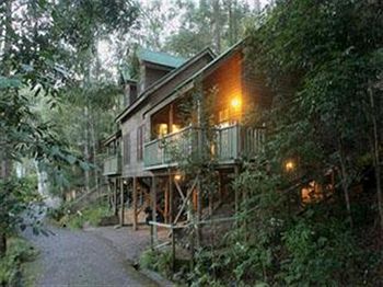 Barrington Wilderness Cedar Lodge Accommodation - Accommodation Mermaid Beach 3