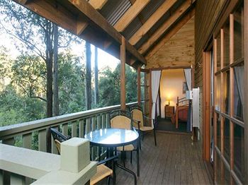 Barrington Wilderness Cedar Lodge Accommodation - Accommodation Mermaid Beach 5