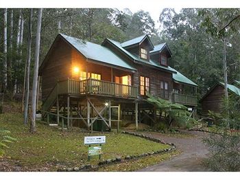 Barrington Wilderness Cedar Lodge Accommodation - Accommodation Mermaid Beach 6