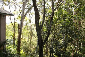 Arabella Guesthouse - Accommodation Mermaid Beach 18